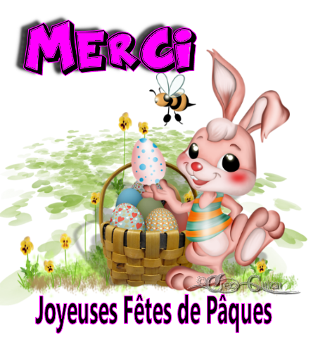 3.Remerciements 005