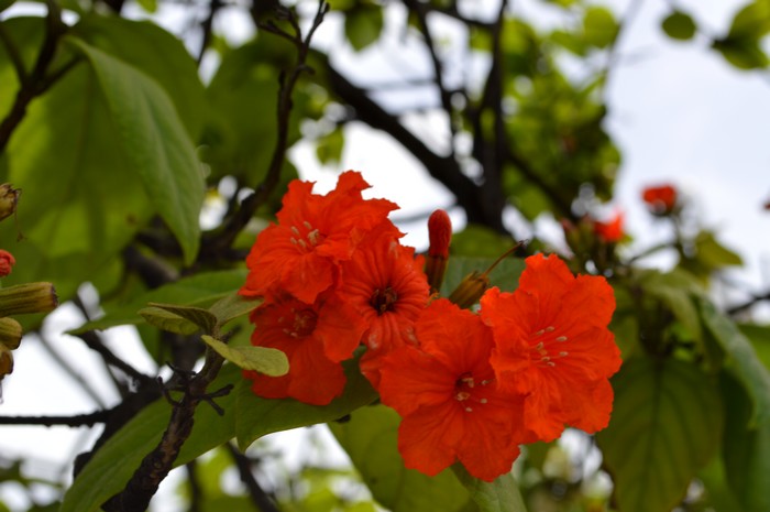 La plus belle couleur au monde » ni Ombre ni Lumière