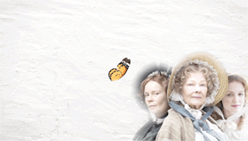15070207070913680413415482.gif
