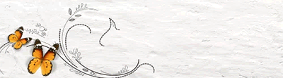 15070207171413680413415557.gif
