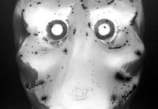 15081607265215263613512045