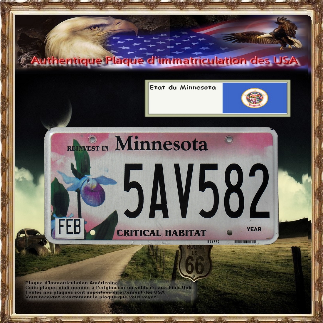 MINNESOTA ** CRITICAL HABITAT LADY SLIPPER ** License Plate "Rare" eBay