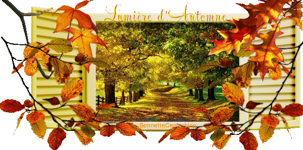 ----------promenades en automne. dans paysages 15100403035120507813631351