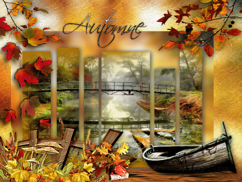 6.Automne 004