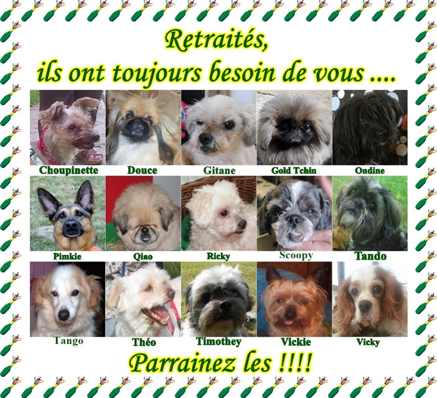 hebergement d'image