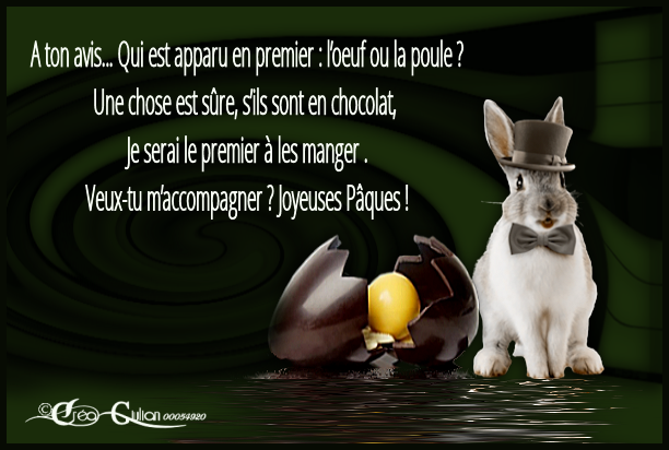 1.P&acirc;ques 005