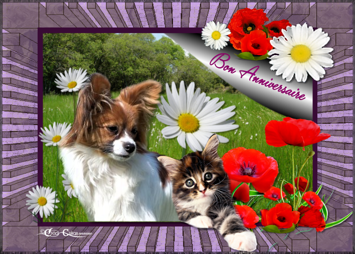 4.Anniversaires 004