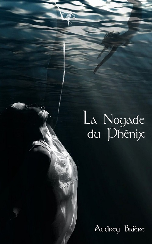 La Noyade du Phenix - Audrey Briere