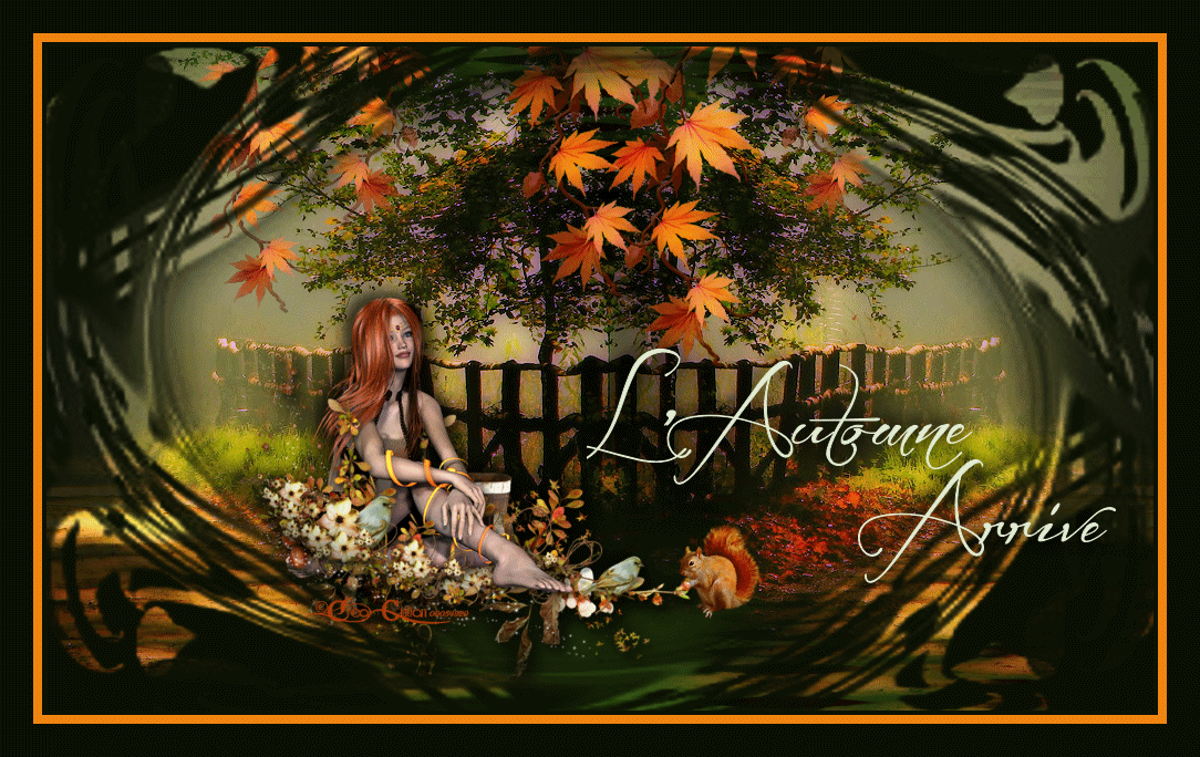 6.Automne 002
