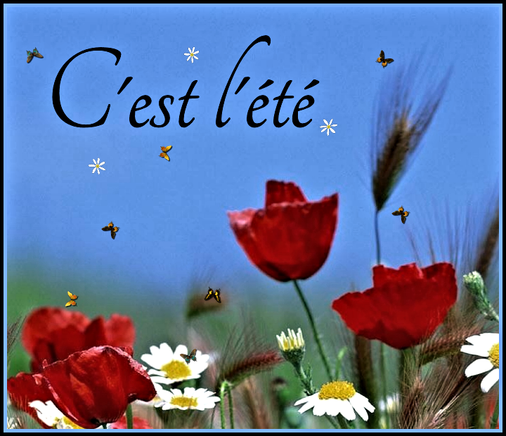 6.Eté 001