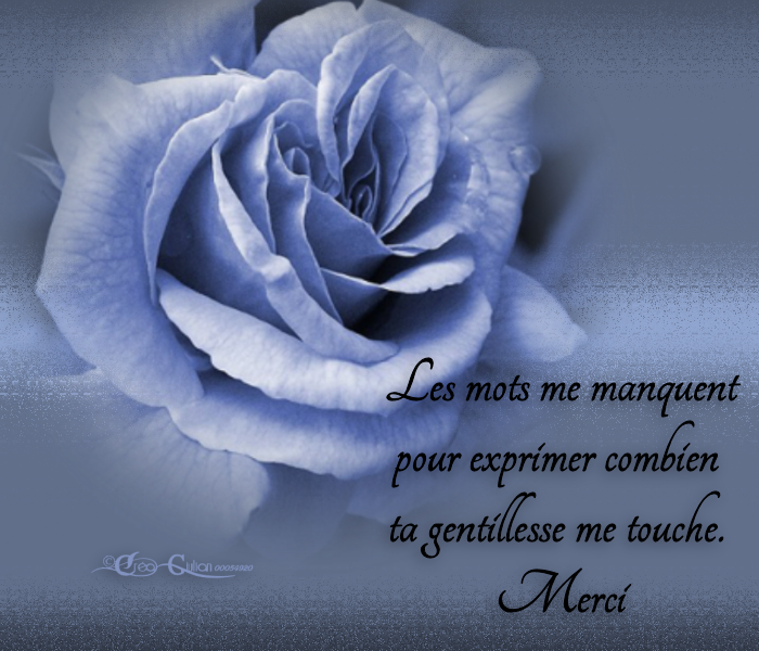 3.Remerciements 001