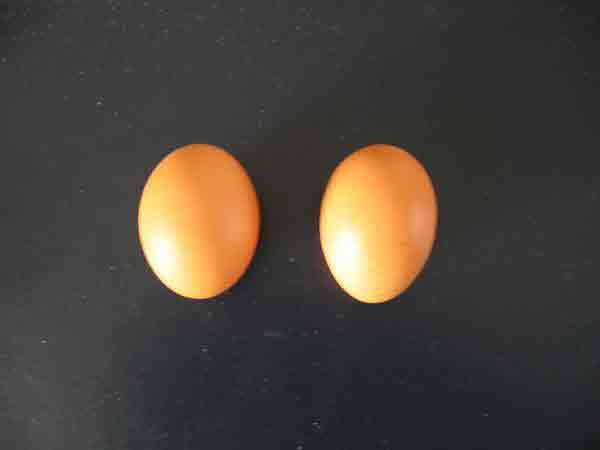 007_2oeufs
