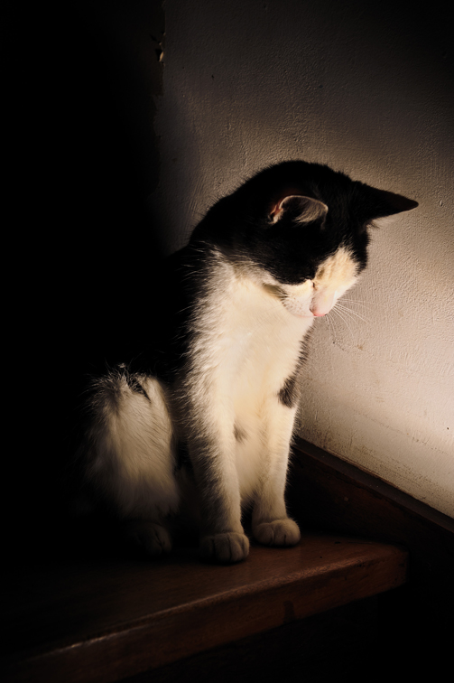 aujourd'hui, elle pose : 12112801145010253910604170