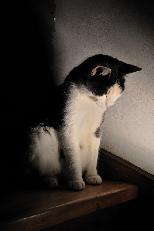 aujourd'hui, elle pose : 12112801145310253910604171
