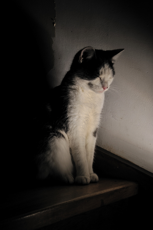 aujourd'hui, elle pose : 12112801145510253910604172