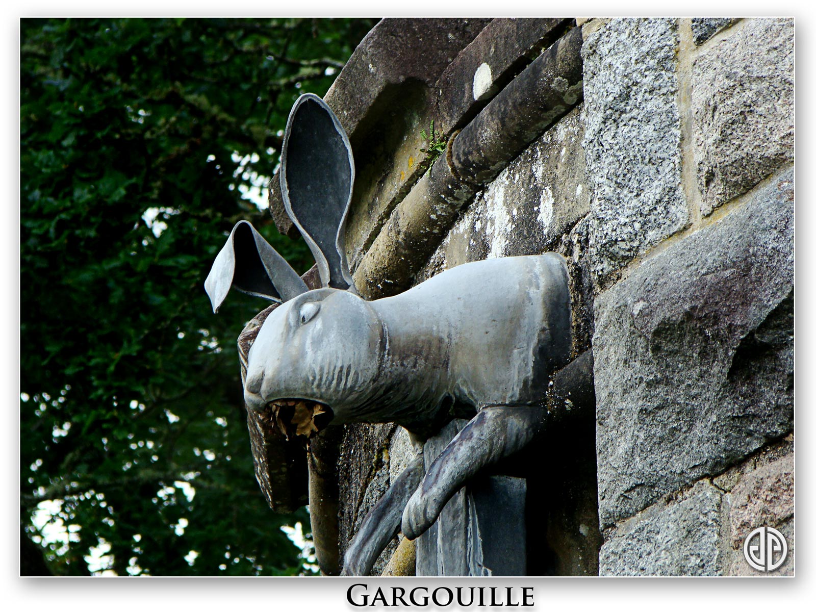 Gargouille-01