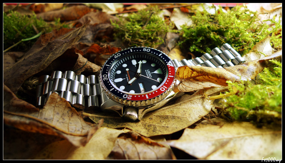 Le retour d'une Divers 200 [SKX009 Inside] 12120805420913888910642172