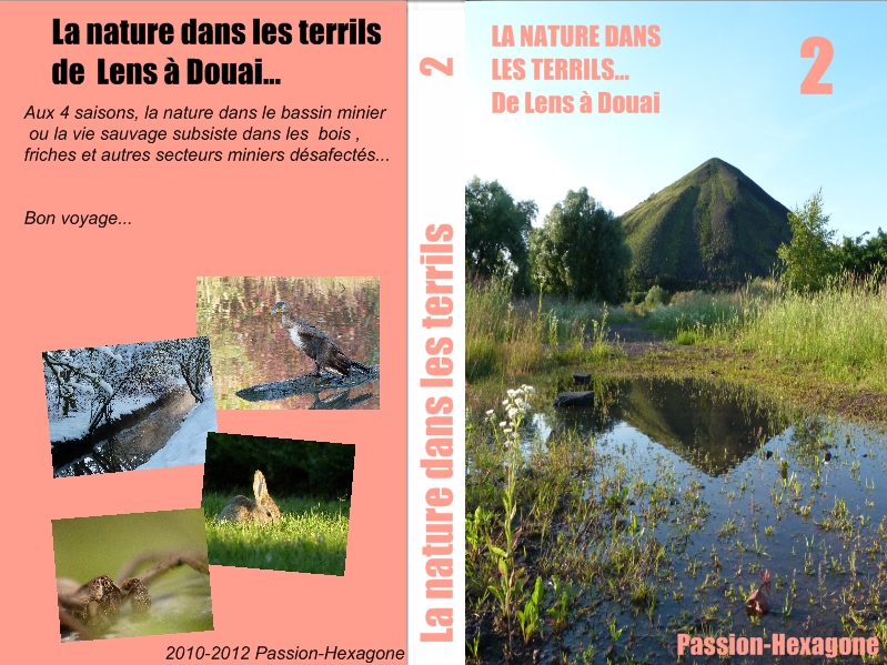 La Nature Dans Les Terrils , De Lens à Douai ... 1212120441369724410656216