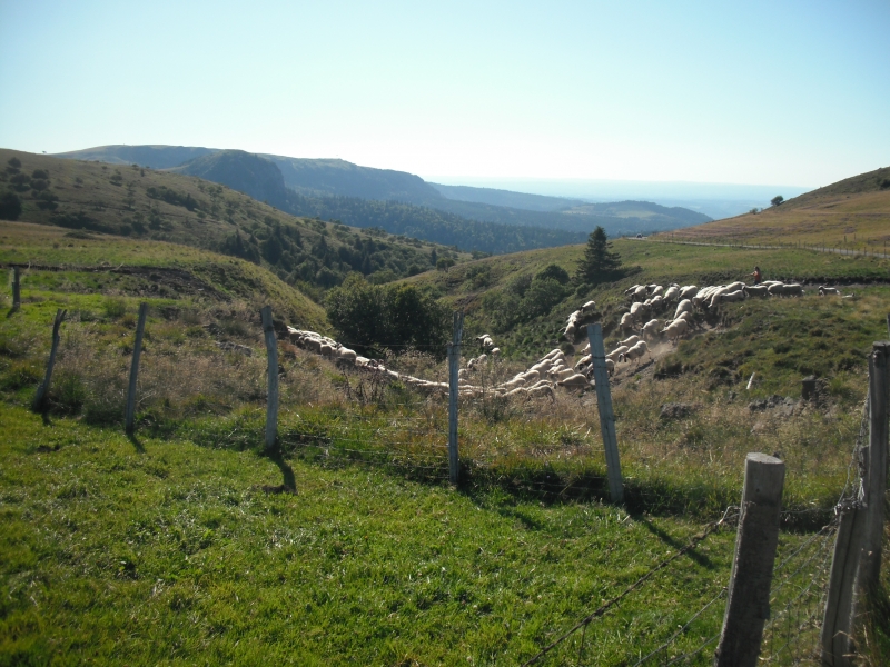 Vacances II 2012 209