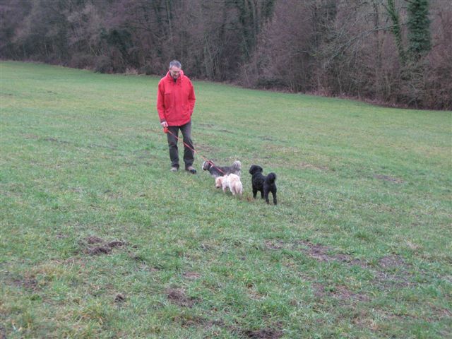 2012-12 DÃ©mone,Fangio,Brindille 013