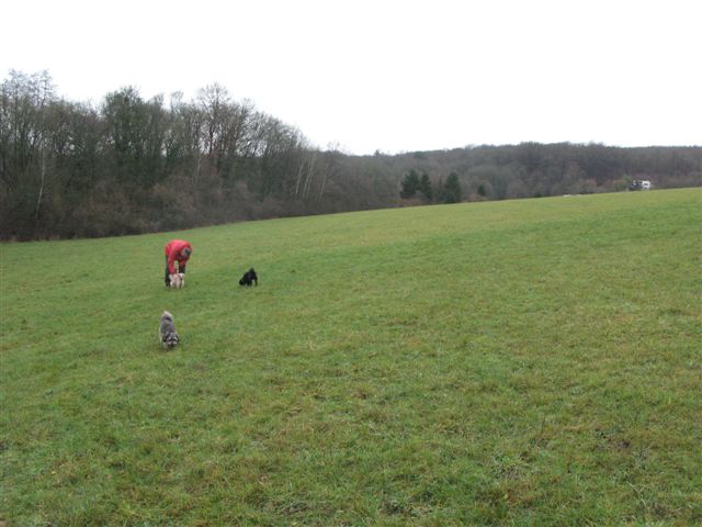 2012-12 DÃ©mone,Fangio,Brindille 016