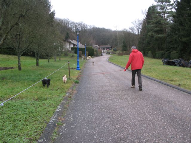 2012-12 DÃ©mone,Fangio,Brindille 019