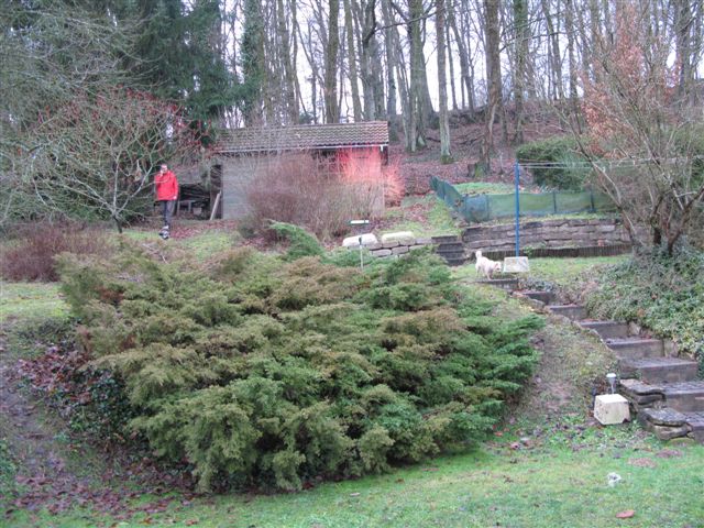 2012-12 DÃ©mone,Fangio,Brindille 020