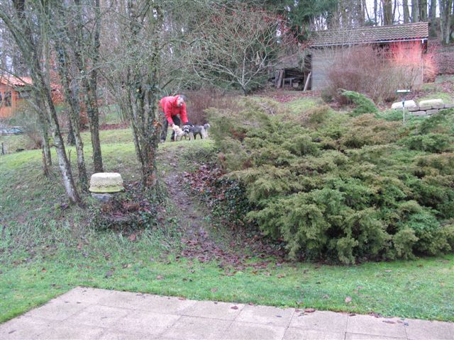 2012-12 DÃ©mone,Fangio,Brindille 021