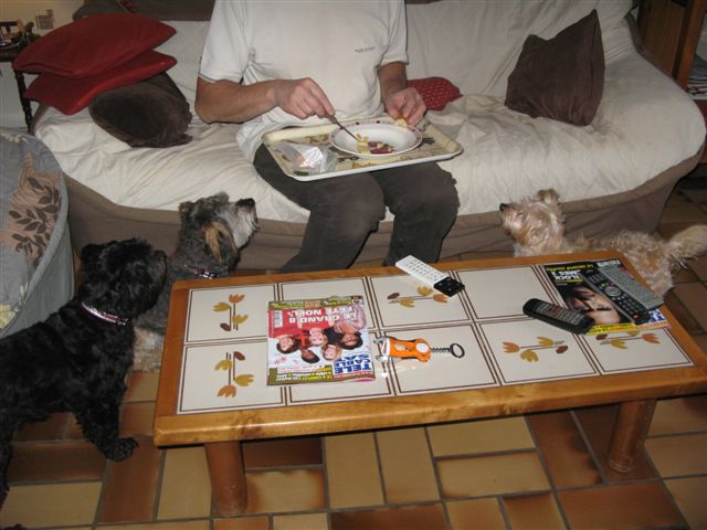 2012-12 DÃ©mone,Fangio,Brindille 024