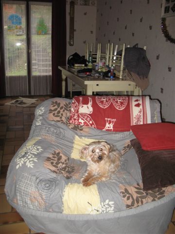 2012-12 DÃ©mone,Fangio,Brindille