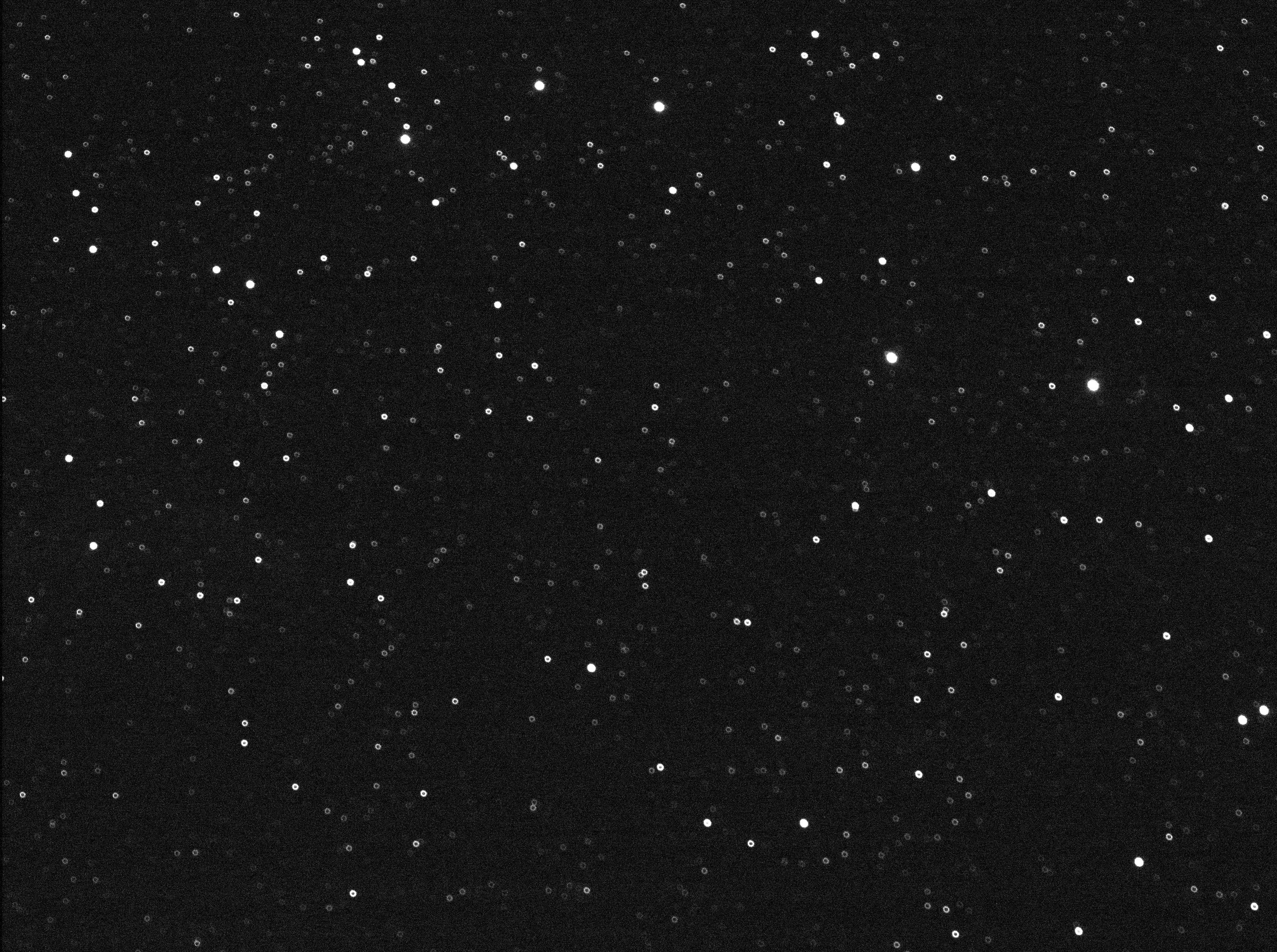 CCD Image 006