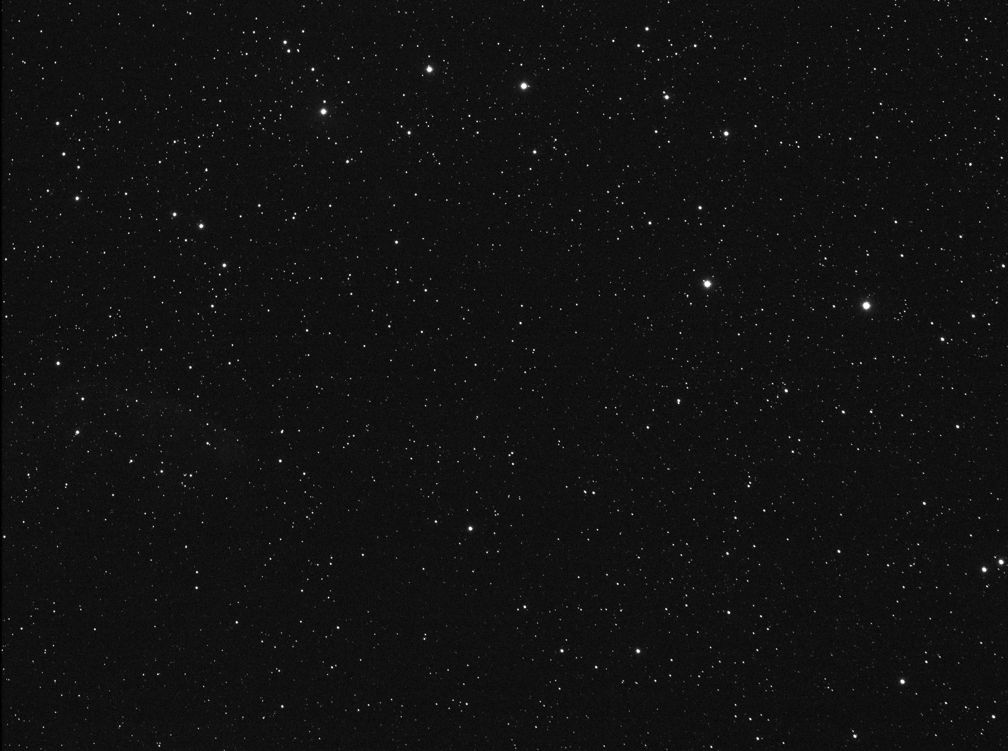 CCD Image 009