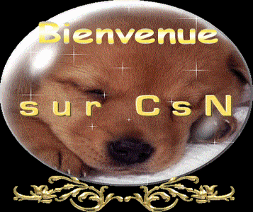 bienvenue