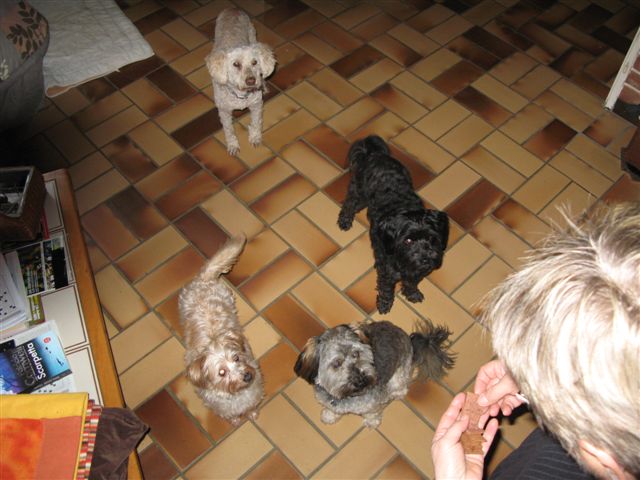 2012-12 D&Atilde;&copy;mone,Fangio,Brindille 055