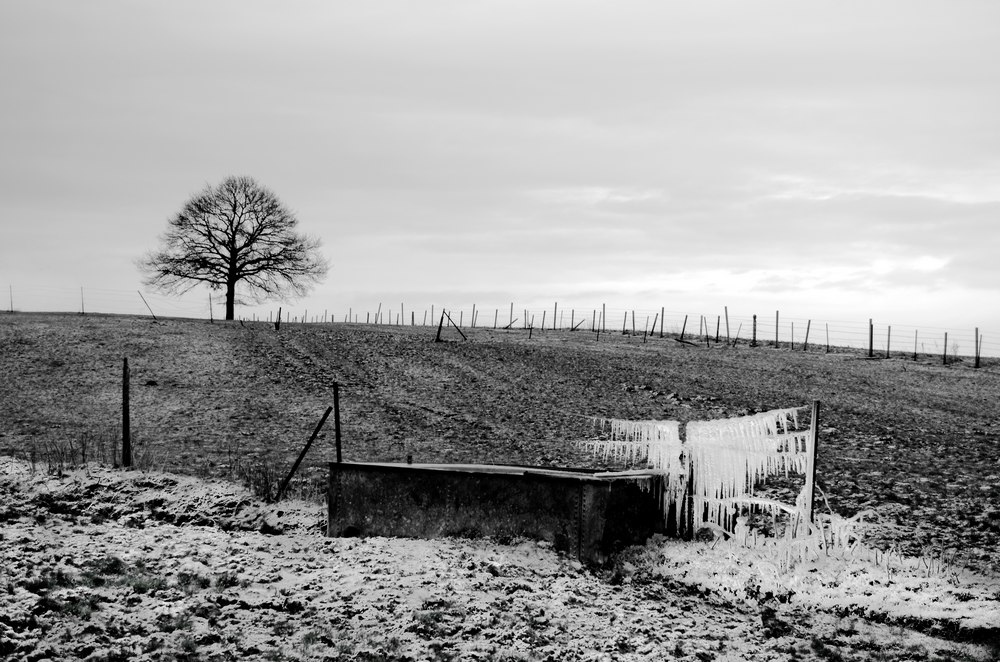 toilette hivernale  13011409521215574910762035