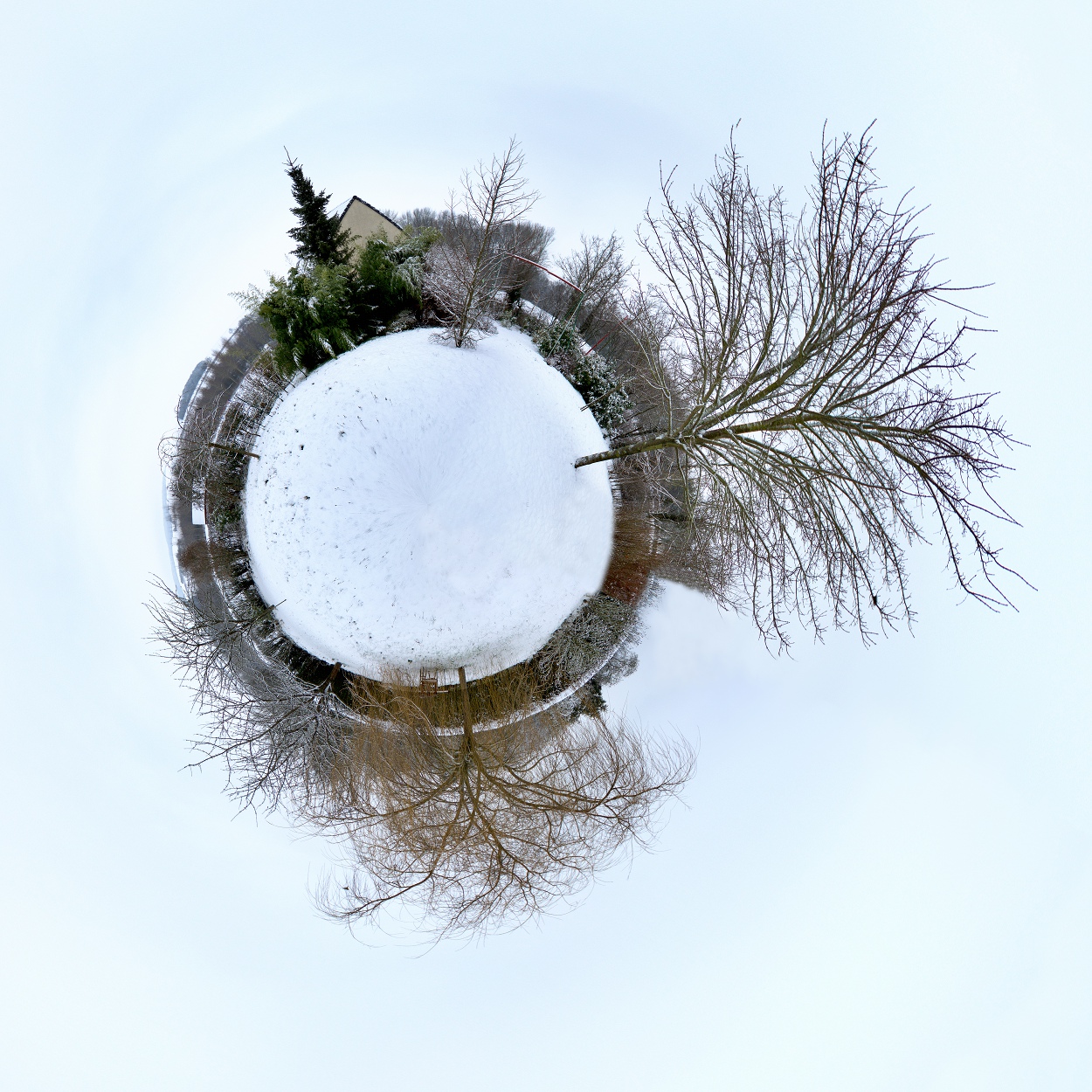 IMG_1824_IMG_1842-19 images-3