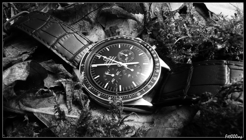 La Montre du Vendredi 8 février 2013  13012601293113888910799979