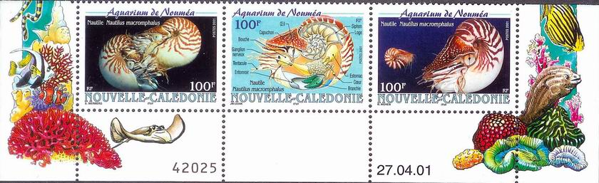 Timbres de Nouvelle Calédonie et coquillages