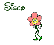 sisco-fleur