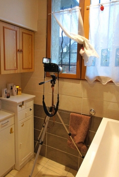 Animaux de mon jardin - DSC08415