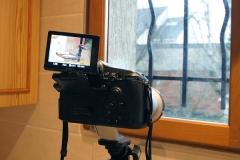 Animaux de mon jardin - DSC08416