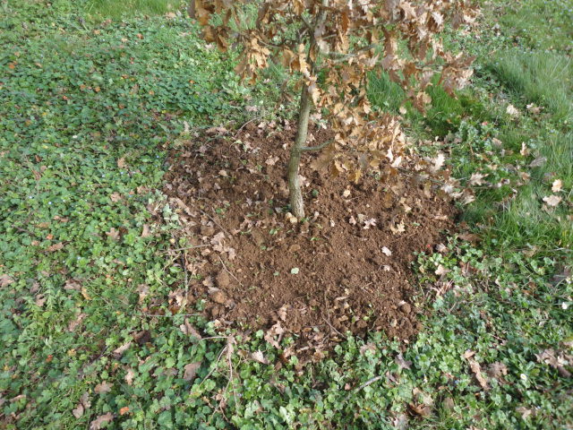 travail sur ch&ecirc;ne ap