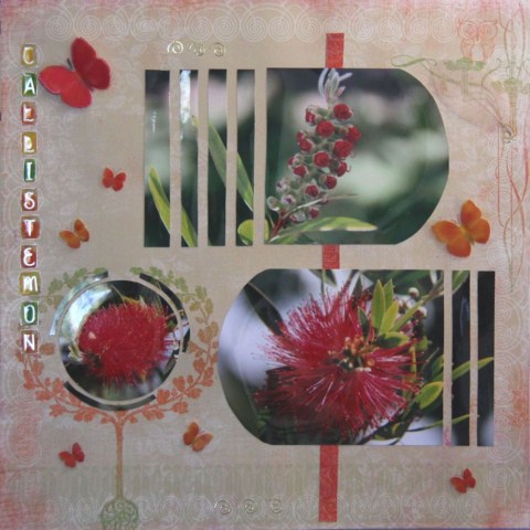 SCRAP pages - 2011 09 29