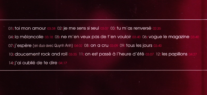 MARC LAVOINE "Je descends du singe" 28/06/2013 Palais des Sports (Paris) : compte rendu 13030710531015789310943311