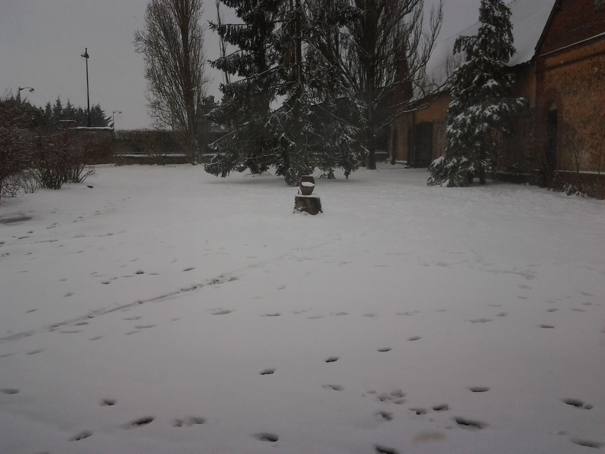 Photo0003[1]