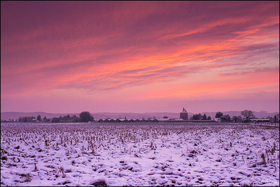 Pink Sunset  (GH2 + 25mm f1.4) 13031411441110300810971315