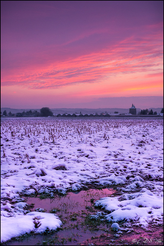 Pink Sunset  (GH2 + 25mm f1.4) 13031411441310300810971316