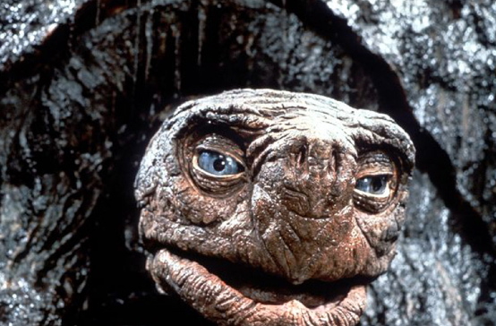 La V&eacute;n&eacute;rable Morla