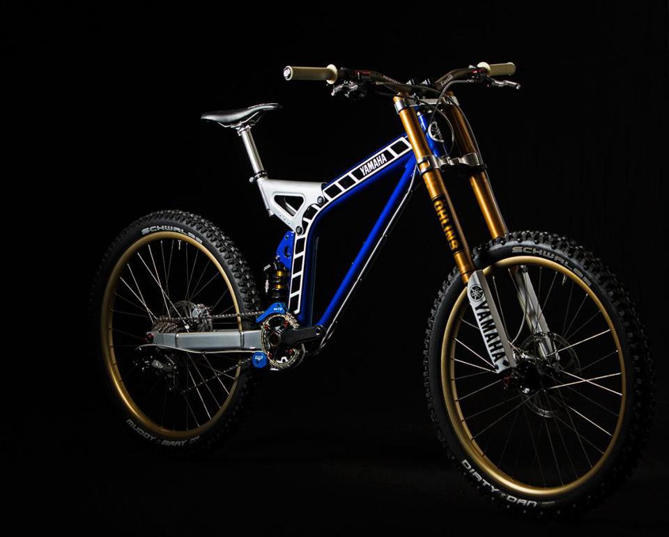 293602_10151595993973906_964338558_n