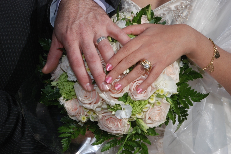 DSC_5488_modifi&Atilde;&copy;-1